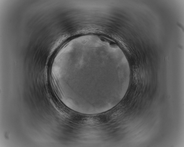 X0000097780678200804041214