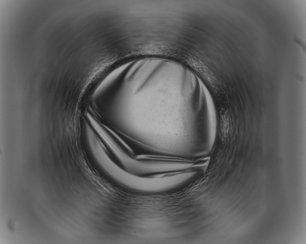 X0000097780680200804041214