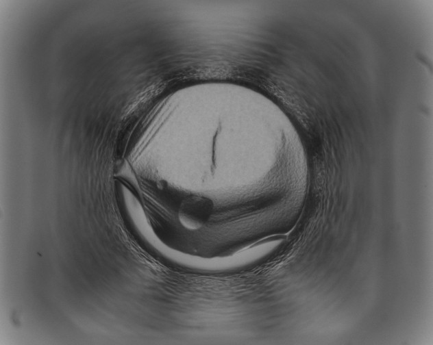 X0000097780681200804041214