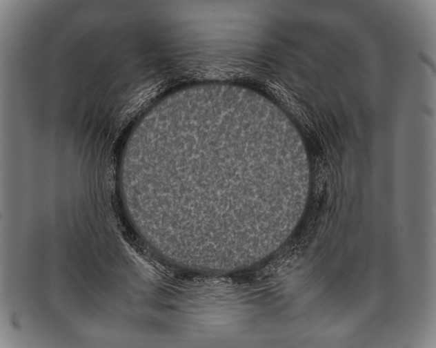 X0000097780683200804041214