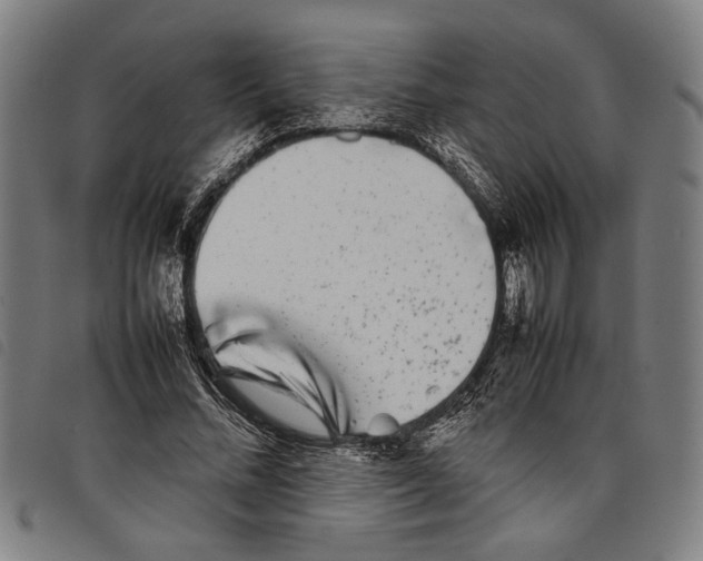 X0000097780684200804041214