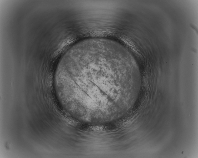 X0000097780687200804041214