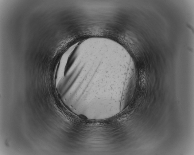 X0000097780688200804041214