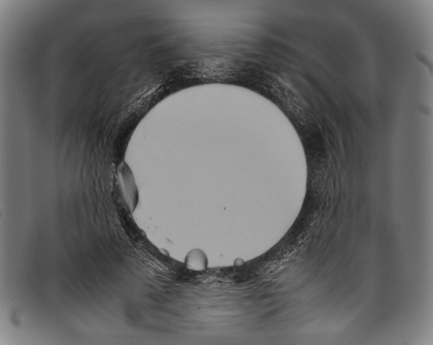 X0000097780689200804041214