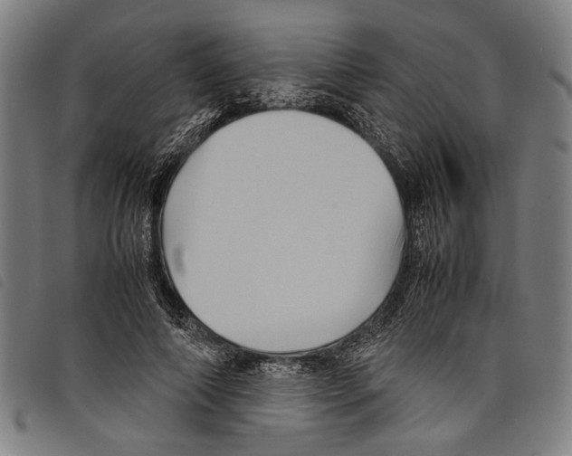 X0000097780690200804041214