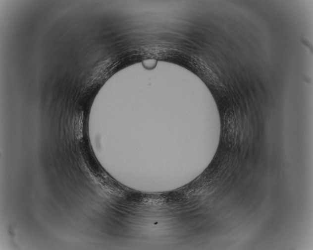 X0000097780694200804041214