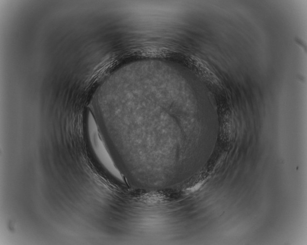 X0000097780696200804041214