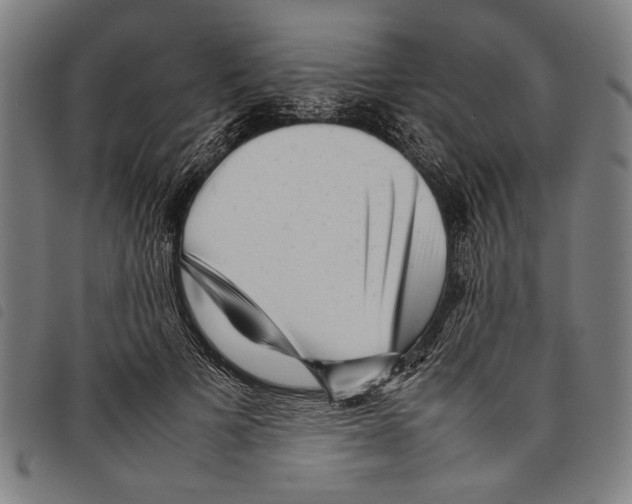 X0000097780697200804041214