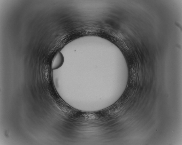 X0000097780698200804041214