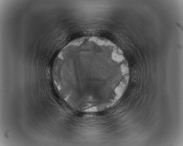 X0000097780699200804041214