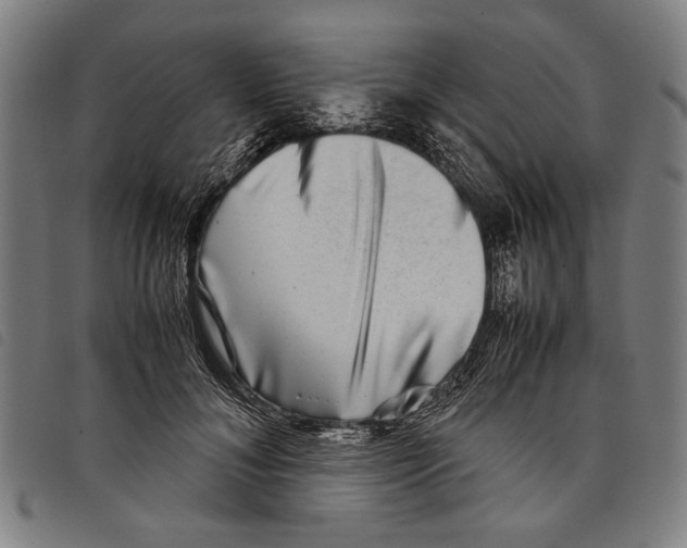 X0000097780700200804041214