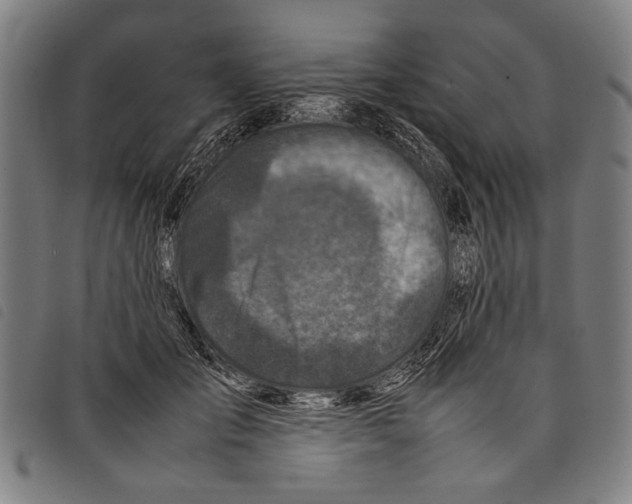 X0000097780701200804041214