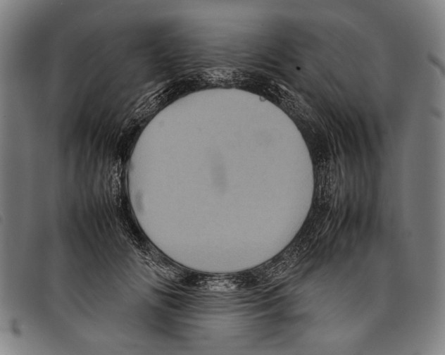 X0000097780702200804041214