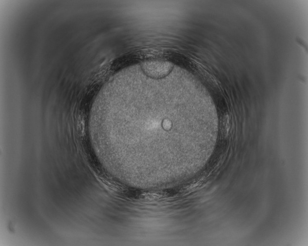 X0000097780703200804041214