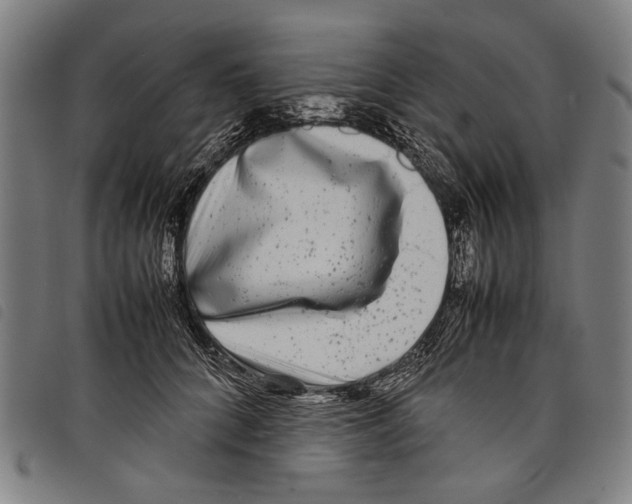 X0000097780704200804041214