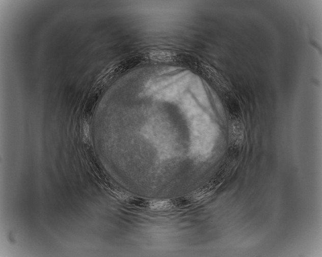 X0000097780705200804041214