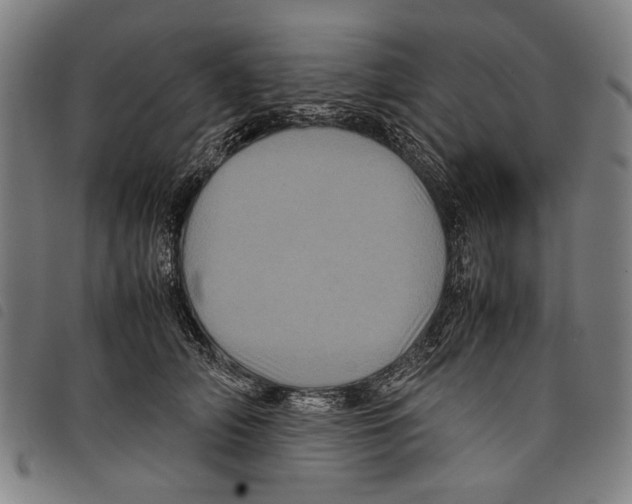 X0000097780706200804041214