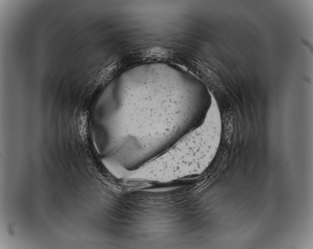 X0000097780708200804041214