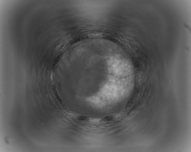 X0000097780709200804041214