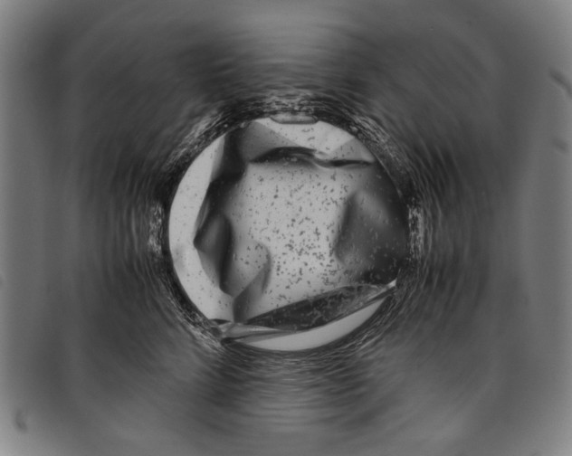 X0000097780712200804041214