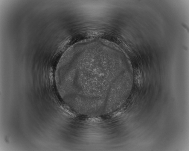 X0000097780716200804041214