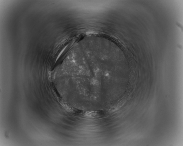 X0000097780720200804041214