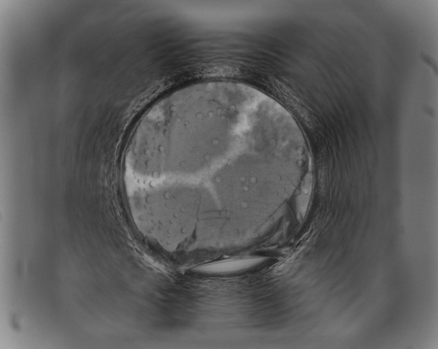 X0000097780721200804041213