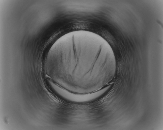 X0000097780722200804041213