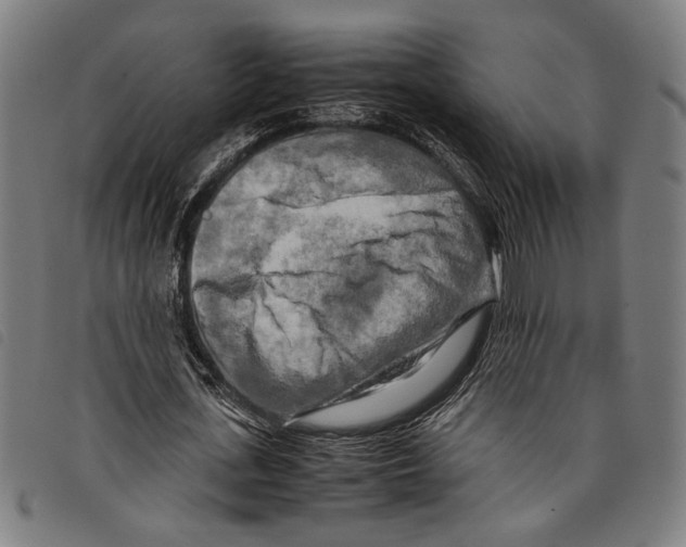 X0000097780723200804041213