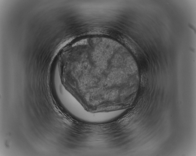 X0000097780724200804041213