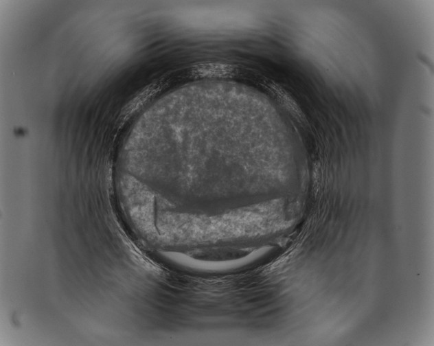 X0000097780725200804041213