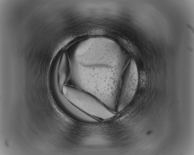 X0000097780726200804041213