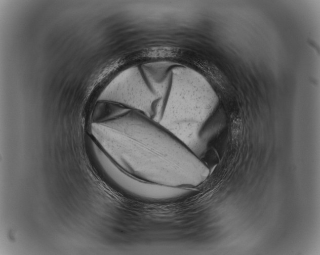 X0000097780727200804041213