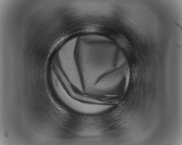 X0000097780728200804041213