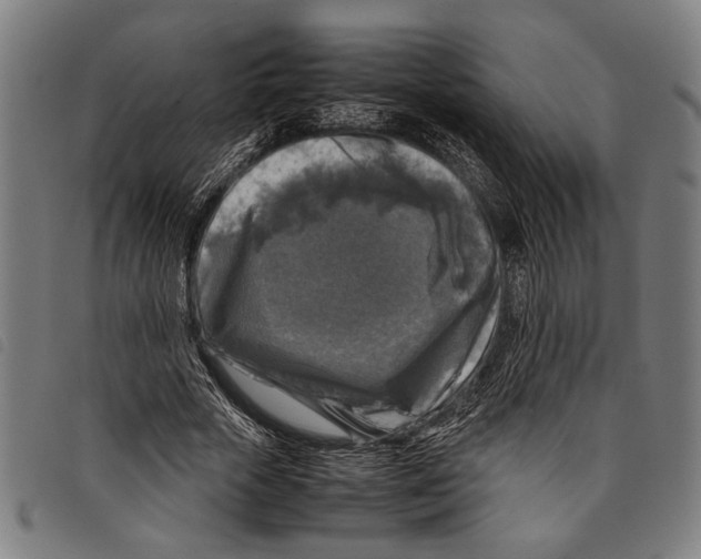 X0000097780729200804041213