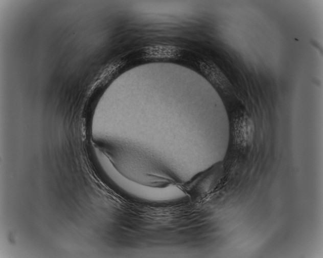 X0000097780731200804041213