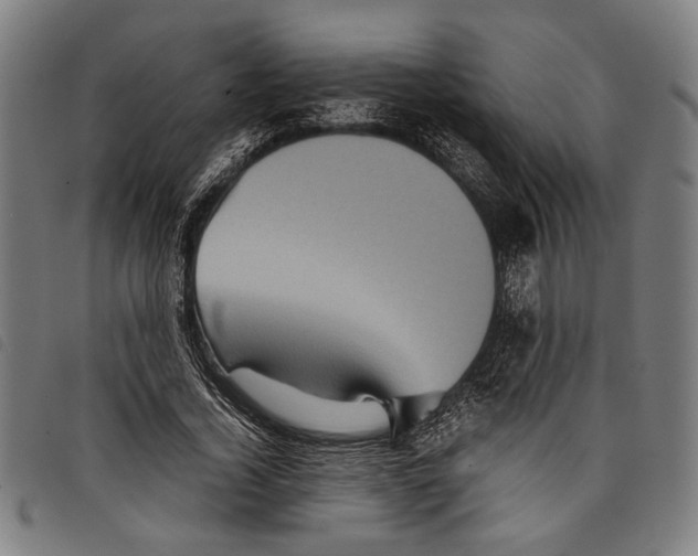 X0000097780732200804041213