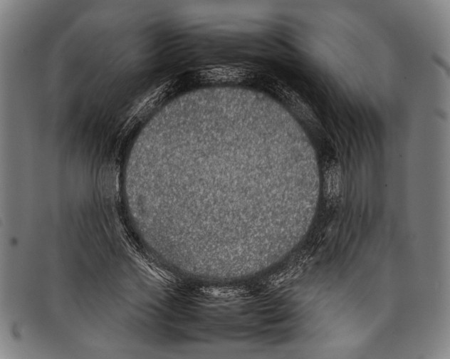 X0000097780733200804041213