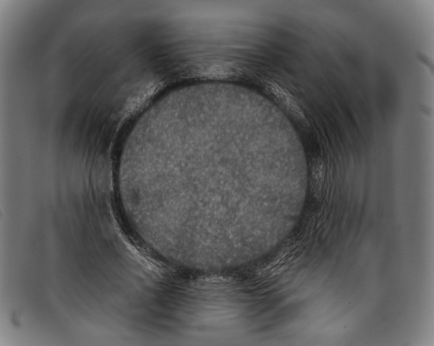 X0000097780734200804041213