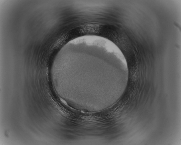 X0000097780735200804041213