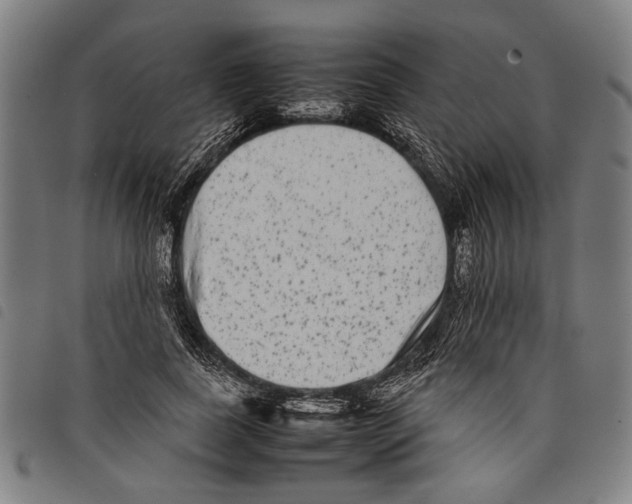 X0000097780739200804041213