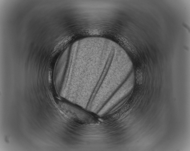 X0000097780740200804041213