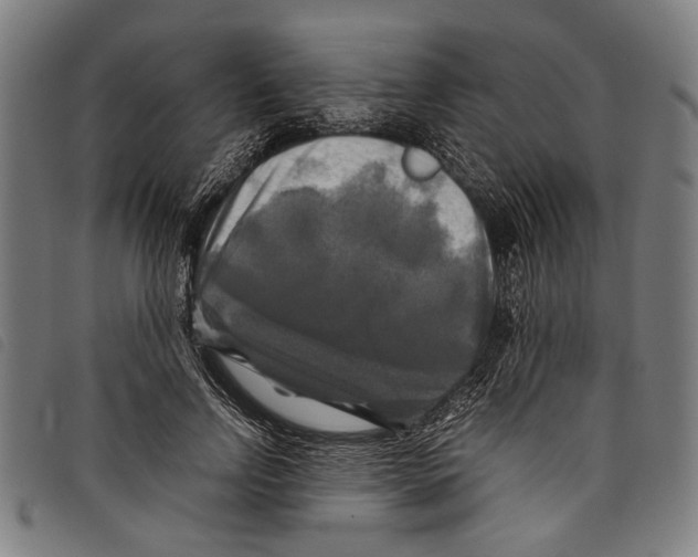 X0000097780742200804041213