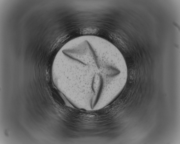 X0000097780743200804041213