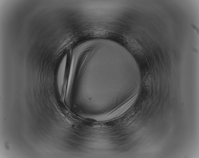 X0000097780744200804041213