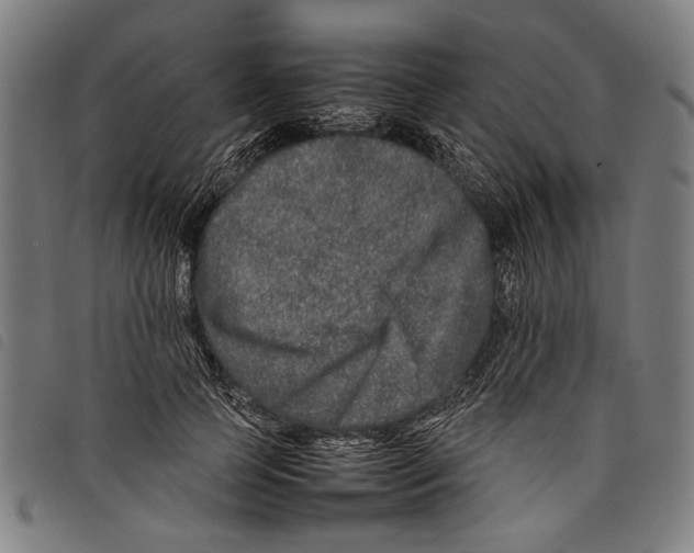 X0000097780745200804041213