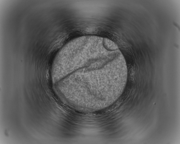 X0000097780746200804041213