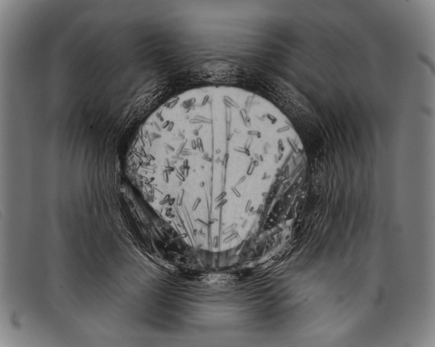 X0000097780748200804041213