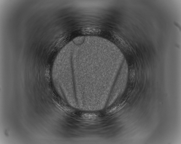 X0000097780749200804041213