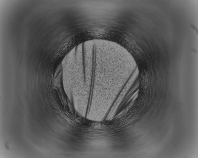 X0000097780750200804041213